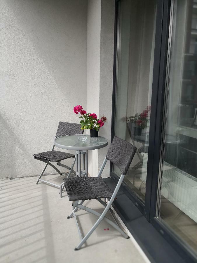Elegant Apartment Close To The Old Town 维尔纽斯 外观 照片